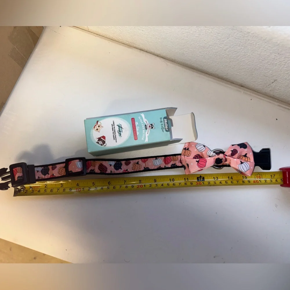 NEW Pumpkin Dog Collar, one size (adjustable)